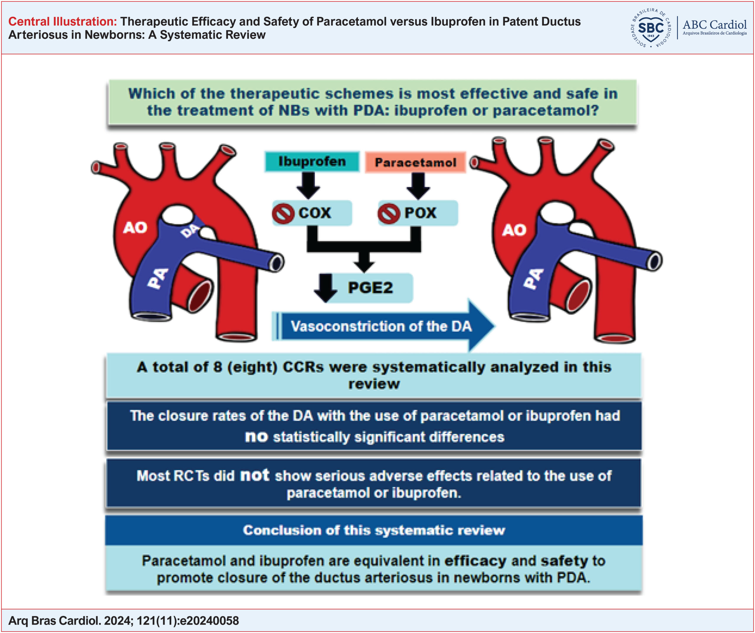 Therapeutic Efficacy and Safety of Paracetamol versus Ibuprofen in Patent Ductus Arteriosus in Newborns: A Systematic Review