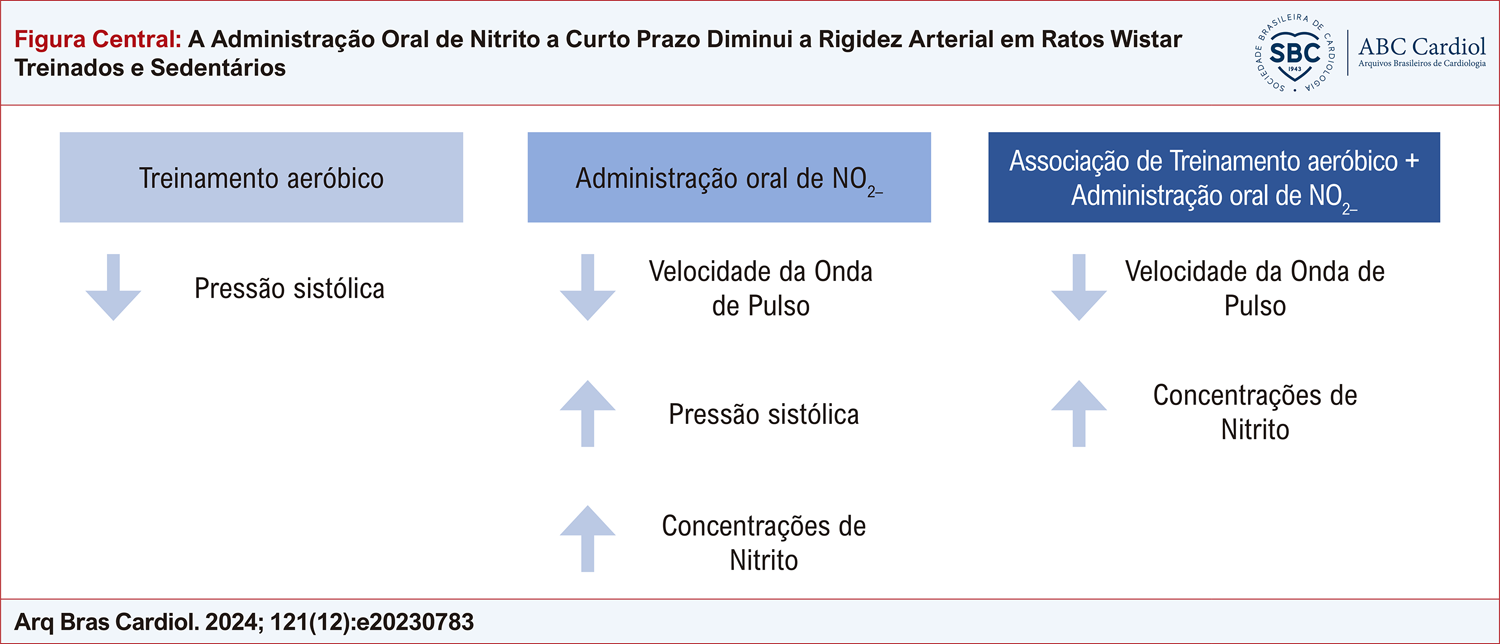 A Administração Oral de Nitrito a Curto Prazo Diminui a Rigidez Arterial em Ratos Wistar Treinados e Sedentários