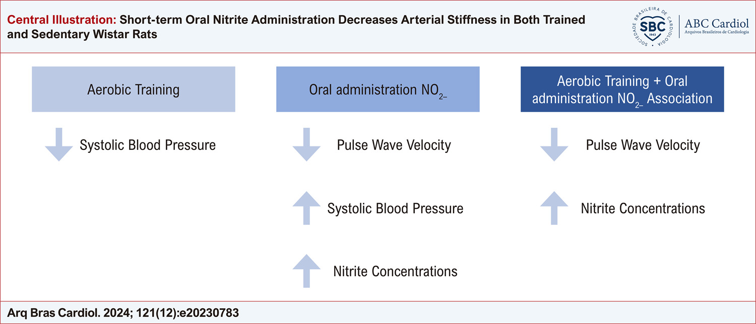 Short-term Oral Nitrite Administration Decreases Arterial Stiffness in Both Trained and Sedentary Wistar Rats