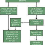 Figura 1