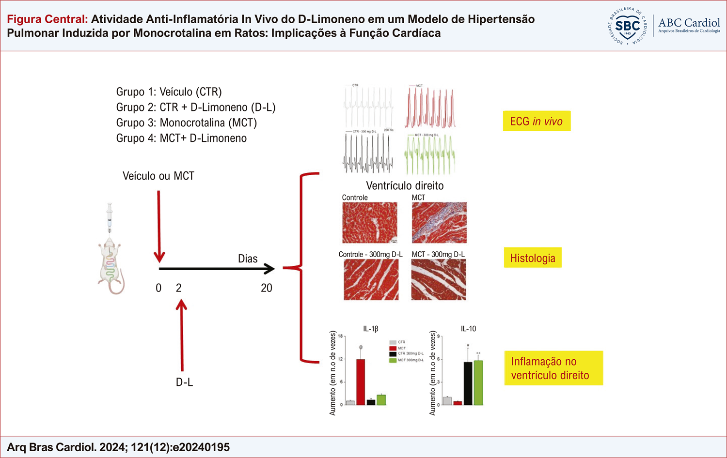 Atividade Anti-Inflamatória In Vivo do D-Limoneno em um Modelo de Hipertensão Pulmonar Induzida por Monocrotalina em Ratos: Implicações à Função Cardíaca