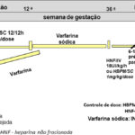 Figura 1