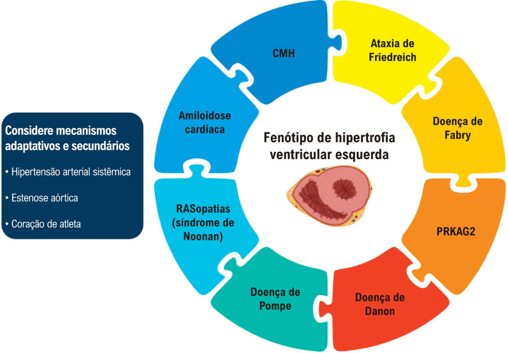 Figura 1