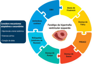 Figura 1