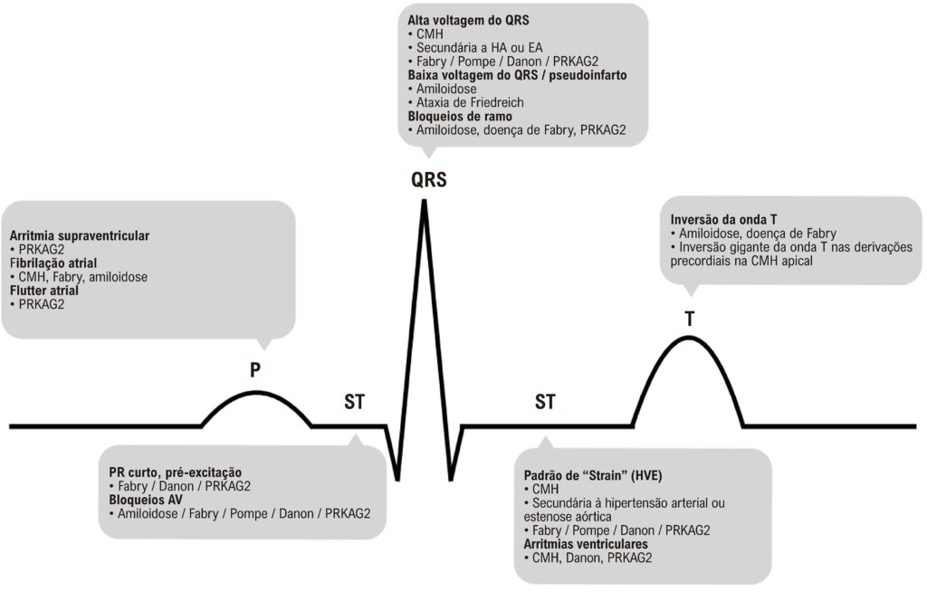 Figura 2