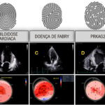 Figura 3