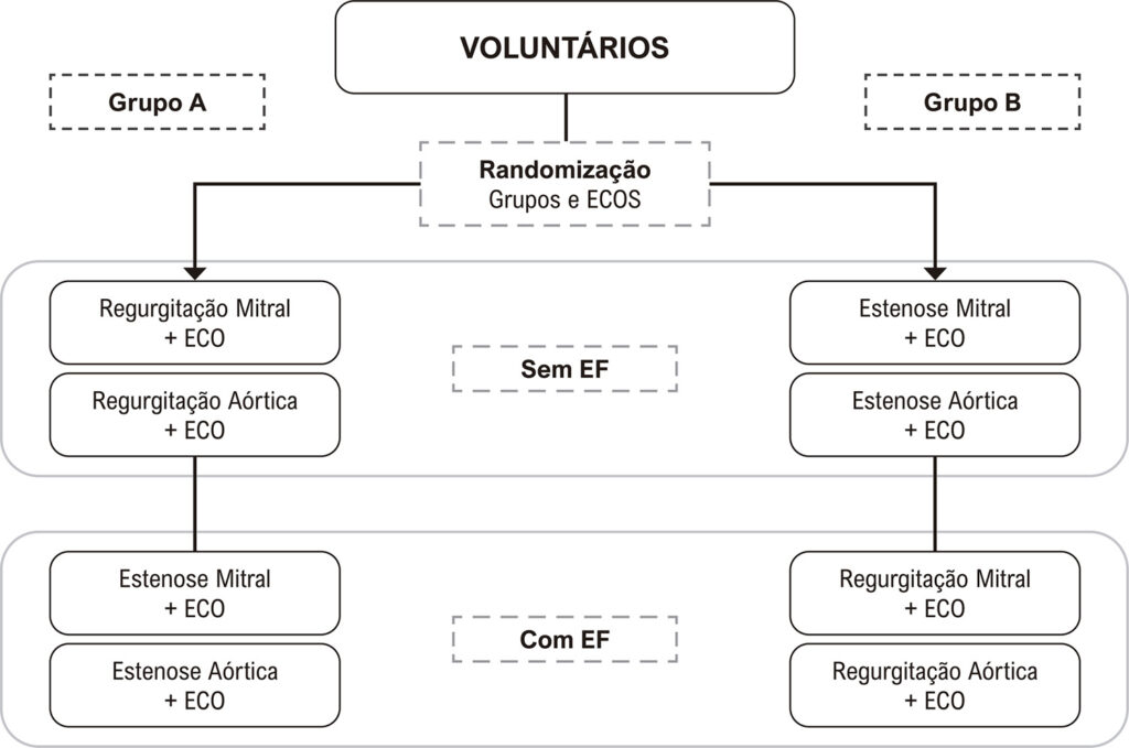 Figura 1