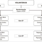 Figura 1