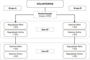 Figura 1