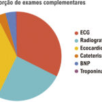 Figura 4