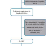 Figura 1
