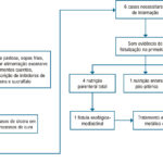 Figura 3