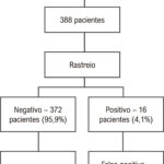Figura 1