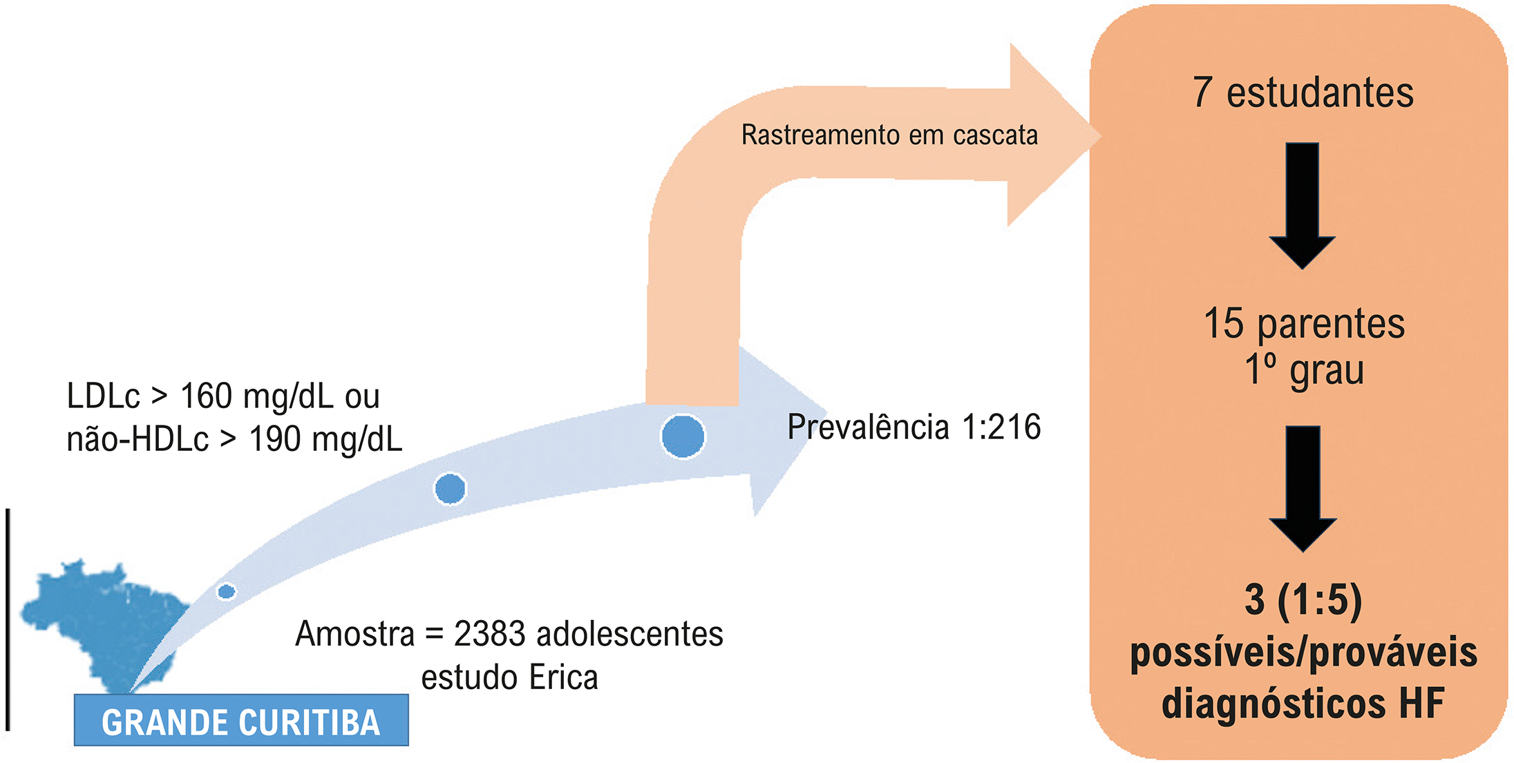 Rastreamento em Cascata em Adolescentes com Alterações Lipídicas Sugestivas de Hipercolesterolemia Familiar: Dados do Estudo ERICA – Curitiba