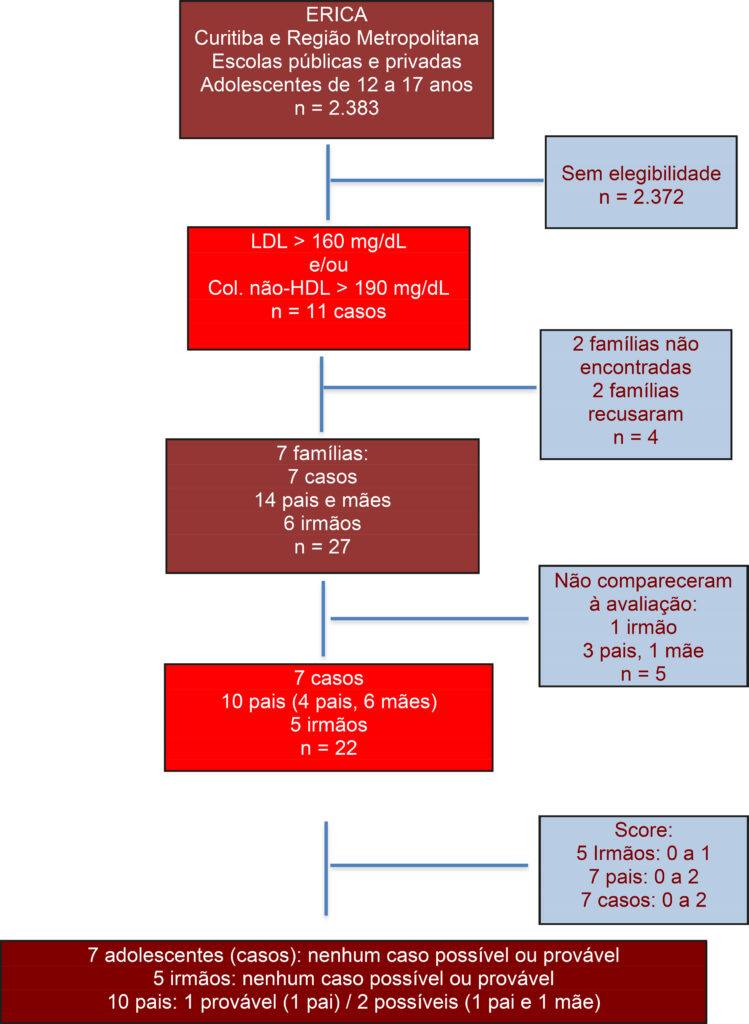 Figura 1