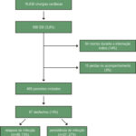 Figura 1