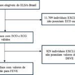Figura 1