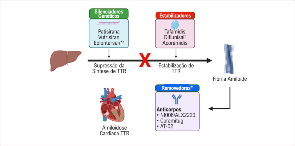 Figura 1