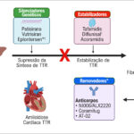 Figura 1