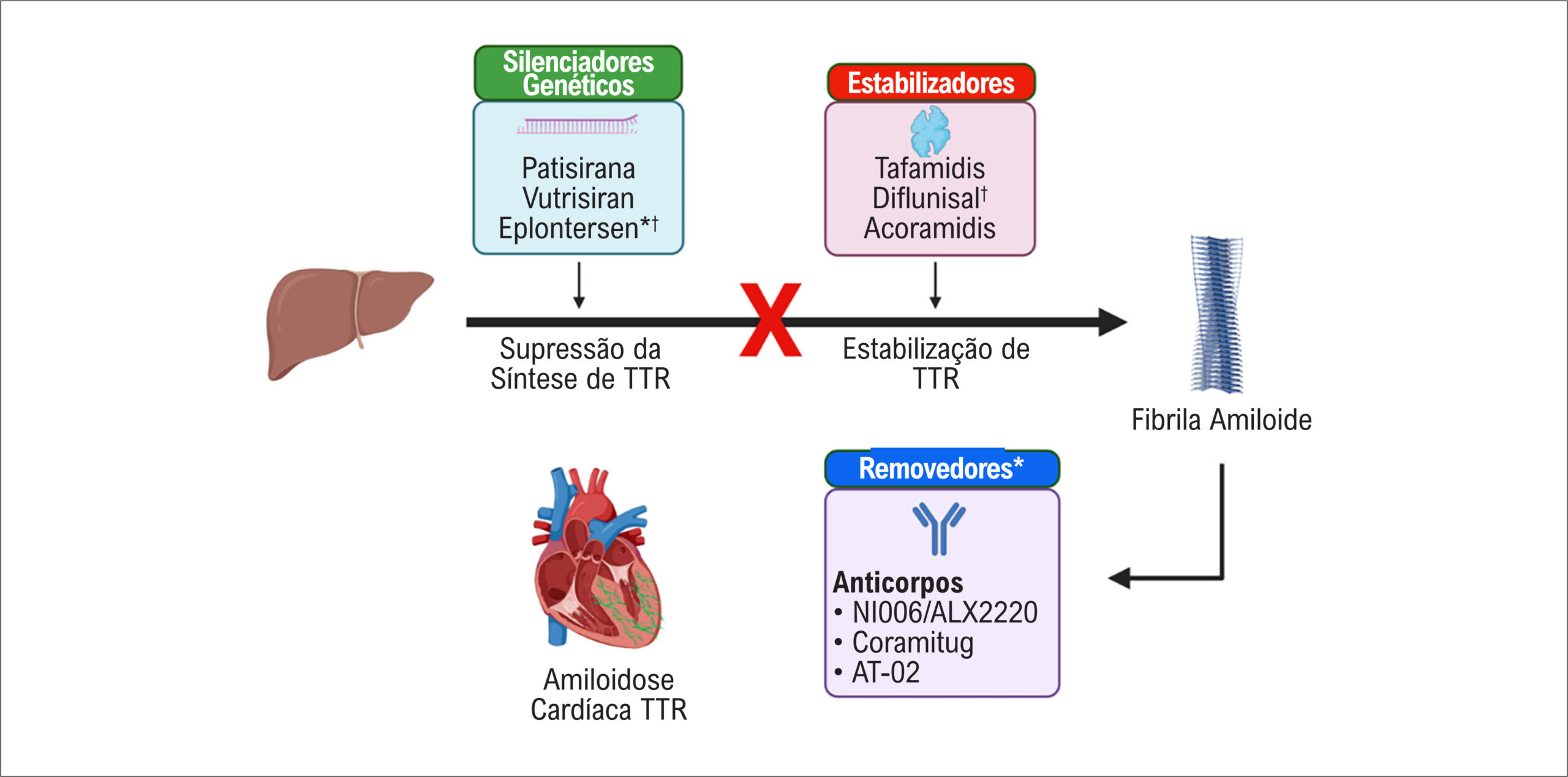 Figura 1