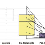 Figura 1