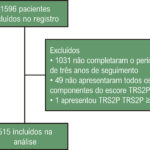 Figura 1