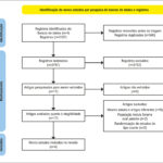 Figura 1
