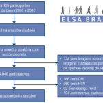 Figura 1