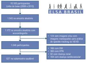 Figura 1