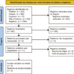 Figura 1