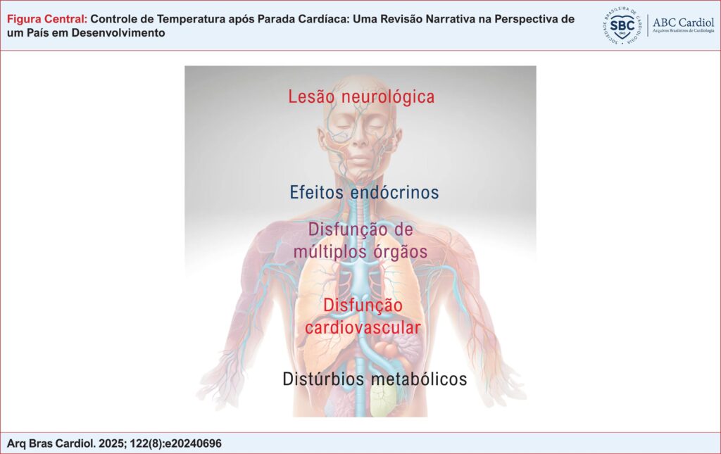 Imagem 1 da galeria