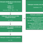Figura 1