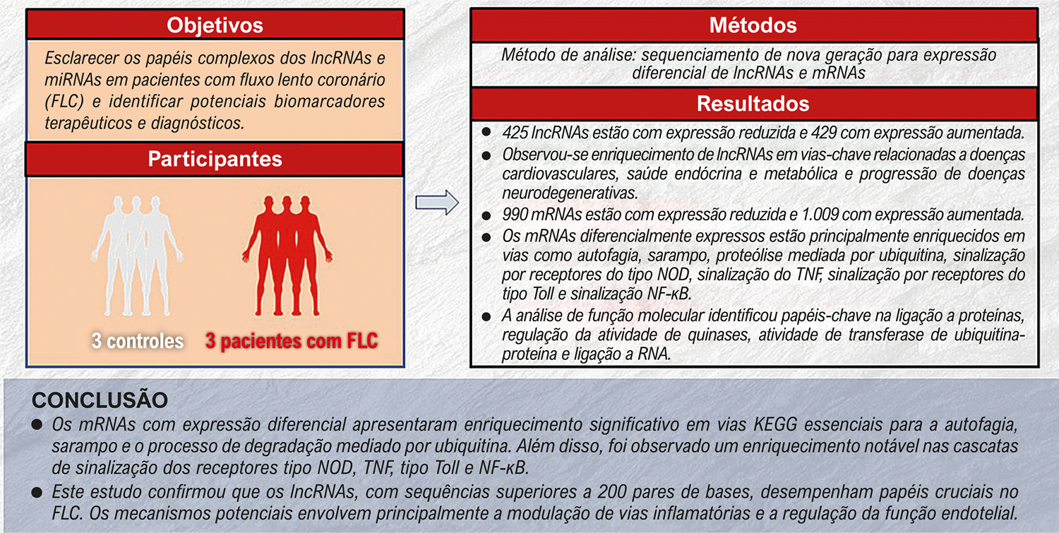 Análise Transcriptômica por Sequenciamento de Alto Rendimento da Expressão de lncRNAs e mRNAs em Pacientes com Fluxo Lento Coronário