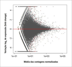 Figura 1