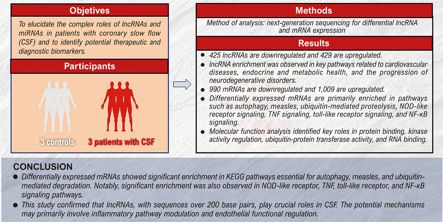 Transcriptome High-Throughput Sequencing Analysis of lncRNA and mRNA Expression in Patients with Coronary Slow Flow