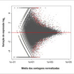Figura 6