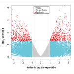 Figura 7