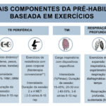 Figura 2