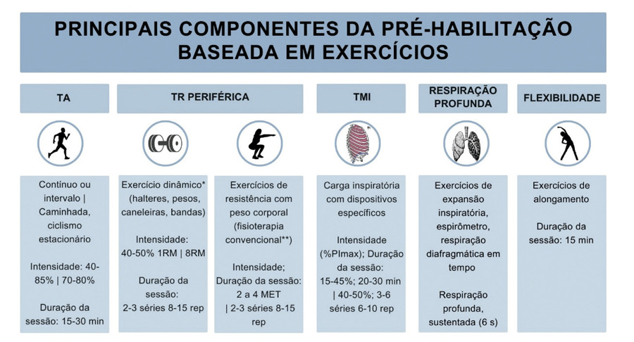Figura 2