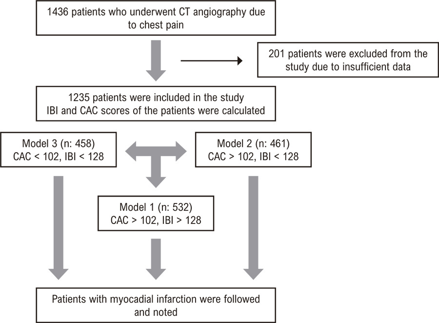 Cardiac CT-Detected Vulnerable Plaques and Risk of Future Acute Myocardial Infarction: Predictive Value of CAC Scores and Inflammatory Burden Index