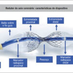 Figura 4