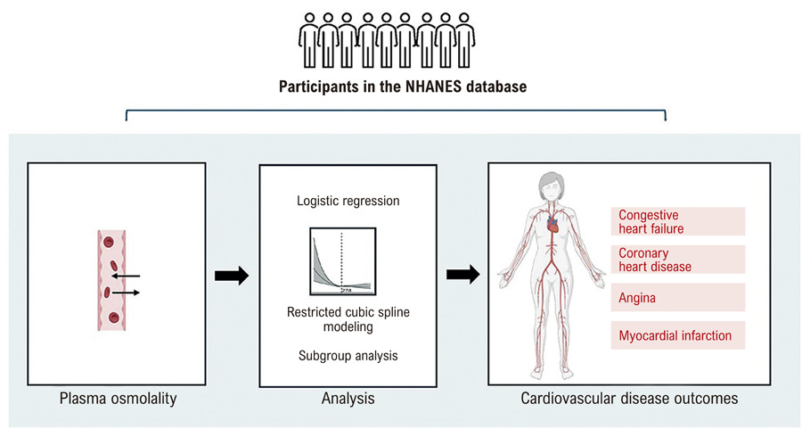 Association of Plasma Osmolality with Cardiovascular Disease Risk: Evidence from the National Health and Nutrition Examination Survey Database