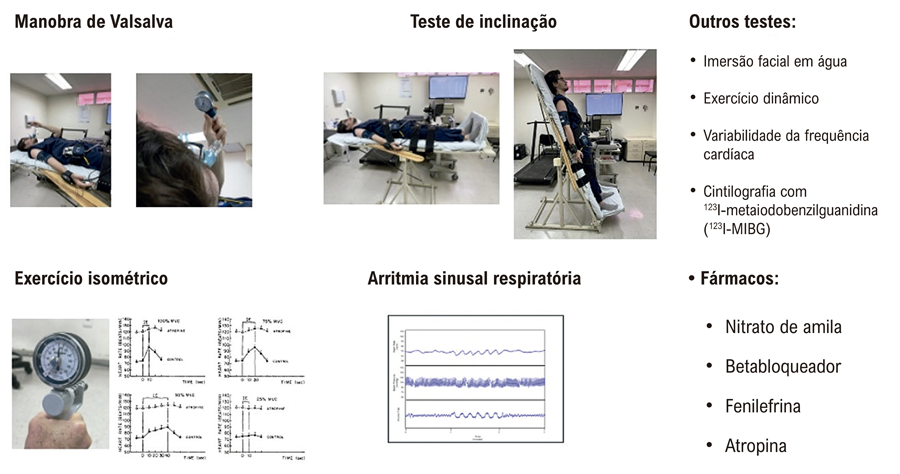 I - Avaliação da Função Autonômica Cardiovascular em Indivíduos Saudáveis