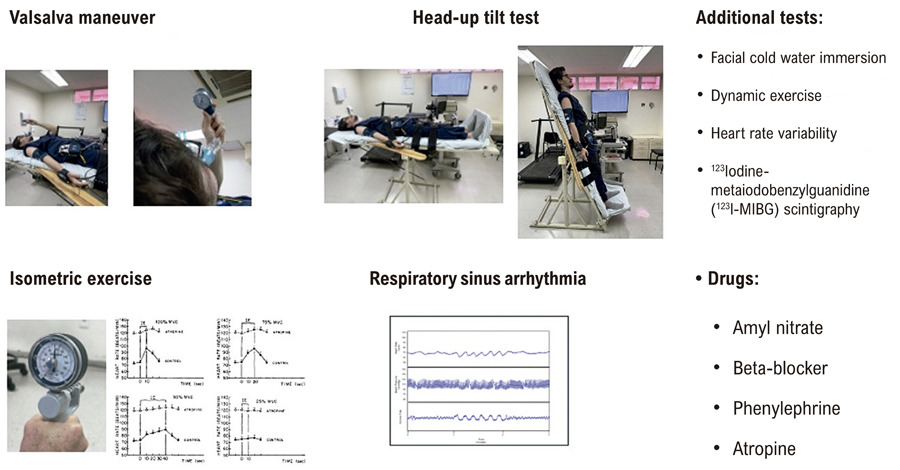I - Evaluation of Cardiovascular Autonomic Function in Healthy Individuals