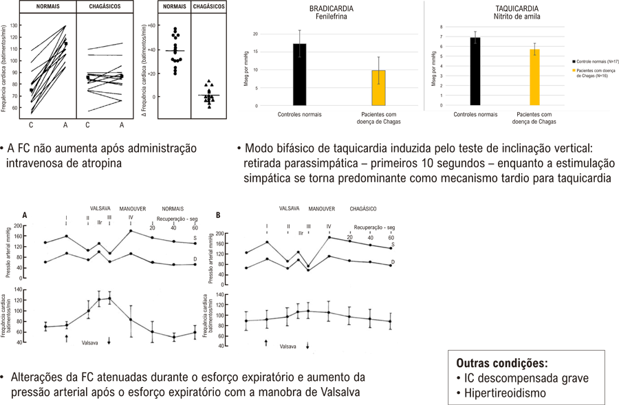 II – Avaliação do Controle Autonômico da Frequência Cardíaca em Diversas Condições Clínicas