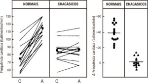 Figura 1