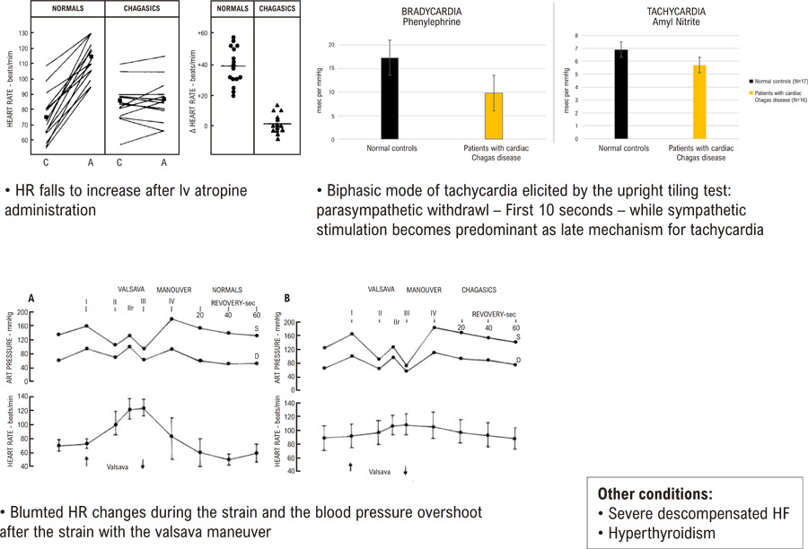 II – Evaluation of Autonomic Control of Heart Rate in Various Clinical Conditions