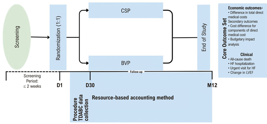 Conduction System Pacing vs Biventricular Pacing in Chronic Heart Failure: Protocol for the Economic Analysis of the PhysioSync-HF Trial