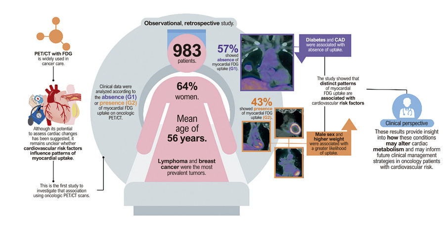 Myocardial Uptake of 18F-Fluorodeoxyglucose on Positron Emission Tomography/Computed Tomography: A Window into Cardiovascular Phenotypes and Metabolic Signatures in Patients with Cancer