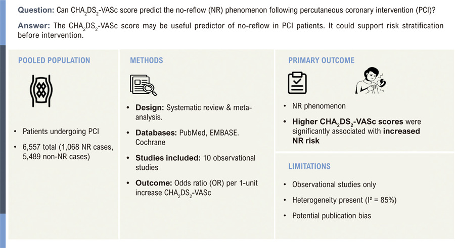 Association of CHA2DS2-VASc Score with No-Reflow Phenomenon after PCI: A Systematic Review and Meta-Analysis